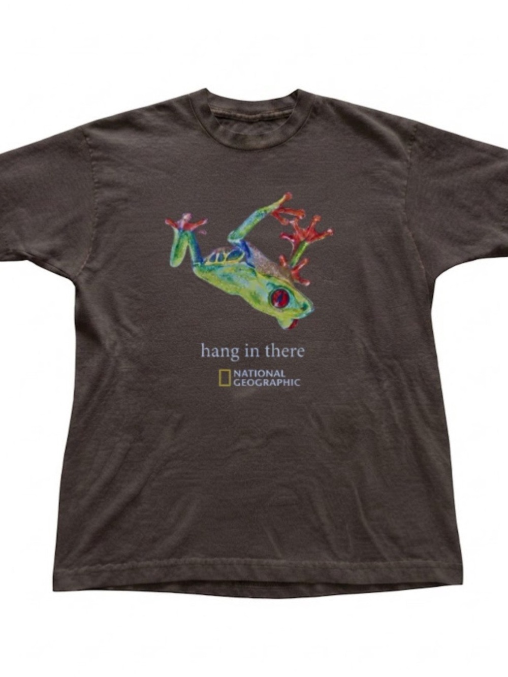 Hang In There Frog Nature Graphic Brown Gildan T-Shirt